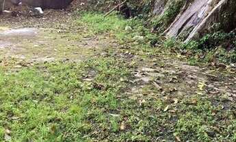 Imagem 6: Terreno em São Vicente