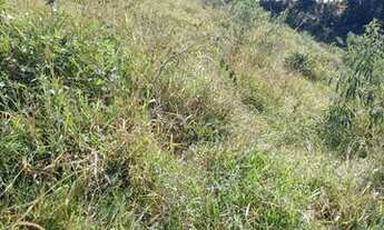 Imagem 3: TERRENO EM MUNHOZ