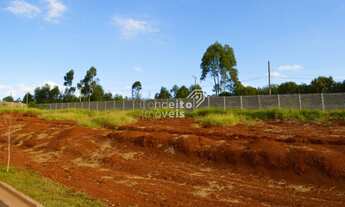 Imagem 4: Condomínio Vale dos Vinhedos