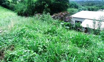 Imagem 6: Terreno no asfalto Bairro da Faisqueira