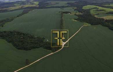 Imagem 3: Fazenda 90 Alqueires, Silvânia, GO