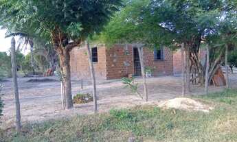 Imagem 2: Vende-se esta casa