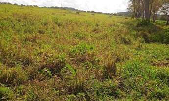 Imagem 4: FAZENDA À VENDA EM CONCEIÇÃO DO PARÁ - PA - 4.855 HECTARES (DUPLA APTIDÃO