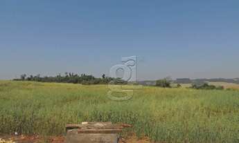 Imagem 2: Chácara à venda, 40334 m² por R$ 4.500.000,00 - Gleba Ribeirão Cafezal - Londrina/PR