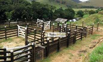 Imagem 7: Sítio com 2 dormitórios à venda, 2600000 m² por R$ 1.300.000,00 - Centro - Conceição de Ma