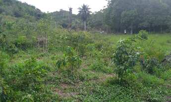 Imagem 5: Propiedade espetacular, com Rio perene, casa de caseiro, água abundante, um paraíso!!