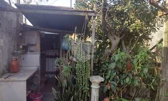 Imagem 3: Terreno-São Paulo-TREMEMBÉ