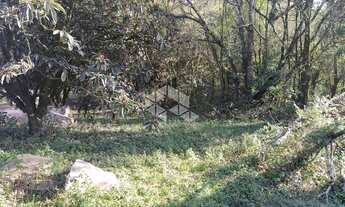 Imagem 7: BENTO GONçALVES - Chácara - Vale Dos Vinhedos