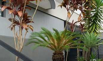 Imagem 5: Sala Comercial para locação possui 29 m² em Vila Guiomar - Santo André - SP