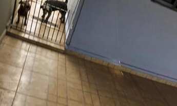 Imagem 3: Residencial - Jd Munique