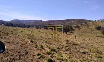 Imagem 4: Fazenda 80 Alqueires, Bom Jesus, GO