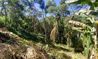 Imagem 3: Terreno para venda com 787 metros quadrados nas Braunes
