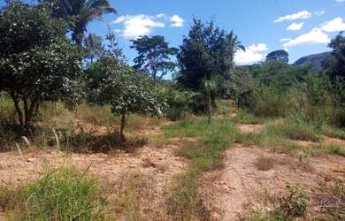 Imagem 14: FAZENDA 5 ALQUEIRES TERRA DE CULTURA COCALZINHO GOIAS