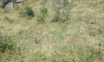 Imagem 4: TERRENO EM MUNHOZ