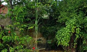 Imagem 7: Casa para venda no Centro - ótima para comércio - Vinhedo - SP