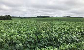 Imagem 5: Fazenda à venda, 2420000 m² por R$ 18.000.000,00 - Centro - Pitanga/PR