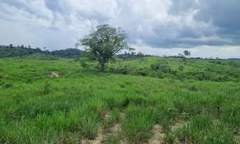 Imagem 4: Fazenda com 390 alqueires para pecuária no sul do Pará