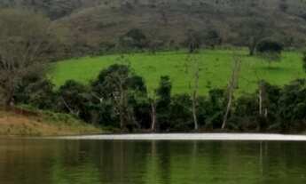 Imagem 2: Oportunidade! Vende-se um espetáculo de fazenda de 155 Hectares