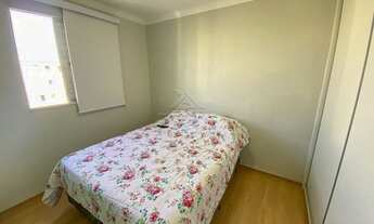 Imagem 7: PIRACICABA - Padrão - Pompéia