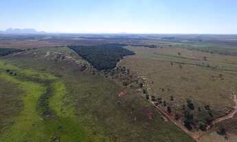 Imagem 7: 8.22 ALQUEIRES SÃO DIEGO - TRAVESSÃO DE CAMPOS