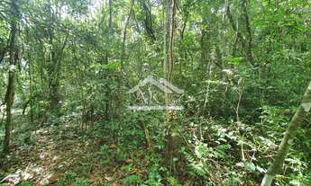 Imagem 4: Área de terras com potencial de vista em Picada Café na serra gaúcha
