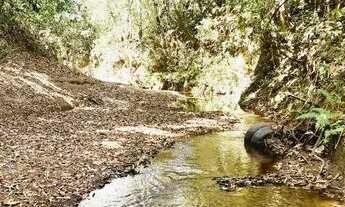 Imagem: Excelente Chacara com 2 Hectares, no Capão