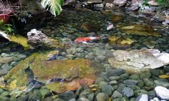 Imagem 6: Venda Casa em condomínio com 5 dormitórios