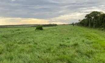 Imagem 2: Fazenda à venda, 12000000 m² por R$ 42.000.000 - Zona Rural - Alta Floresta/MT
