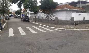 Imagem 4: Casa térrea na Mooca com 3 quartos - CA 230409X