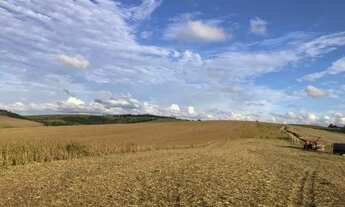 Imagem 4: Porto Amazonas-Plantando 95 Alqueires - 389 Hectares - Sede Completa