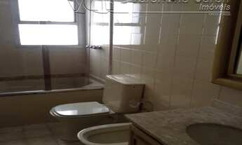 Imagem 5: SãO PAULO - Padrão - Paraíso