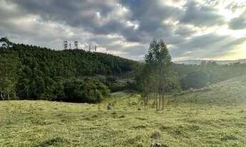 Imagem 3: Vende-se lote com metragem de 600m² com excelente topografia