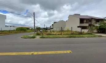 Imagem 3: Terreno em Hípica