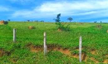 Imagem: TERRENO IMPECÁVEL PRA VOCÊ