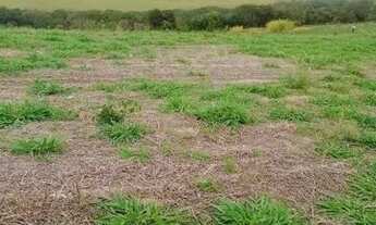 Imagem 2: 03a-B5GDU0 Terreno / lote com venda por R$60.000