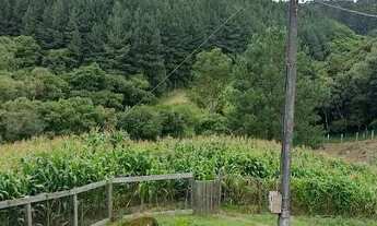 Imagem 7: CHACARA EM MANDIRITUBA