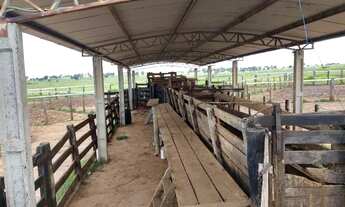 Imagem 5: R$120 Milhões 420 alqueires em Itaruma-GO