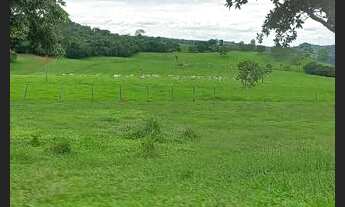 Imagem 5: Fazenda de 614.2286 hect em nova américa Goiás R$:21 milhões