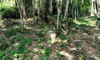 Imagem 3: Seu Refúgio no Paraíso: Terreno em Ilhabela
