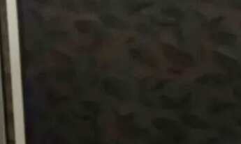 Imagem 7: Casa usada á venda com 2 quartos na Vila Moreninha I em Campo Grande - MS