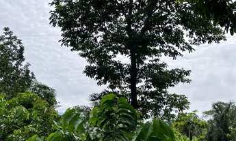 Imagem 4: Sítio a venda Chácara com venda por R$120.000