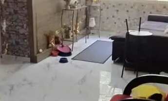 Imagem: Apto ALTO PADRÃO Condomínio Baixo