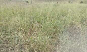 Imagem 4: Venda-se está Propriedade 30 alqueires Localização Campos dos Goytacazes/RJ