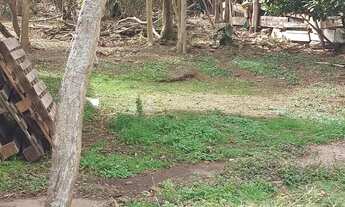 Imagem 2: Terreno na Av. Dr. Manoel Pedro