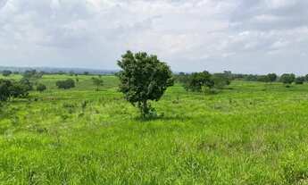 Imagem 2: Sítio em Nossa Senhora do Livramento à venda