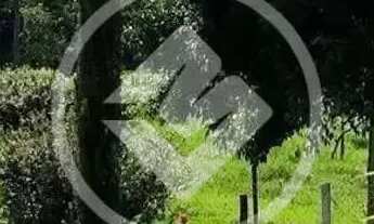 Imagem 5: Aparecida de Goiânia - Casa no Setor Oliveira codigo: 162177