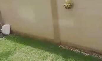 Imagem 6: Alugo apartamento