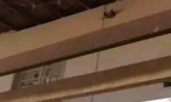 Imagem 4: Casa à venda em rua pública, CAIXA D'ÁGUA , Salvador, BA