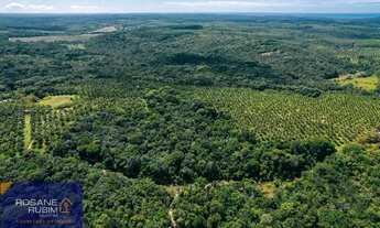 Imagem 3: Belíssima Fazenda com 685 mil m² à venda no litoral proximo de Sauipe com Mata Preservada