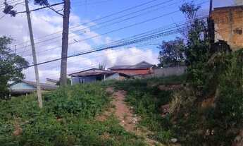 Imagem 4: Terreno 12x36m (432m²) em almirante Tamandaré